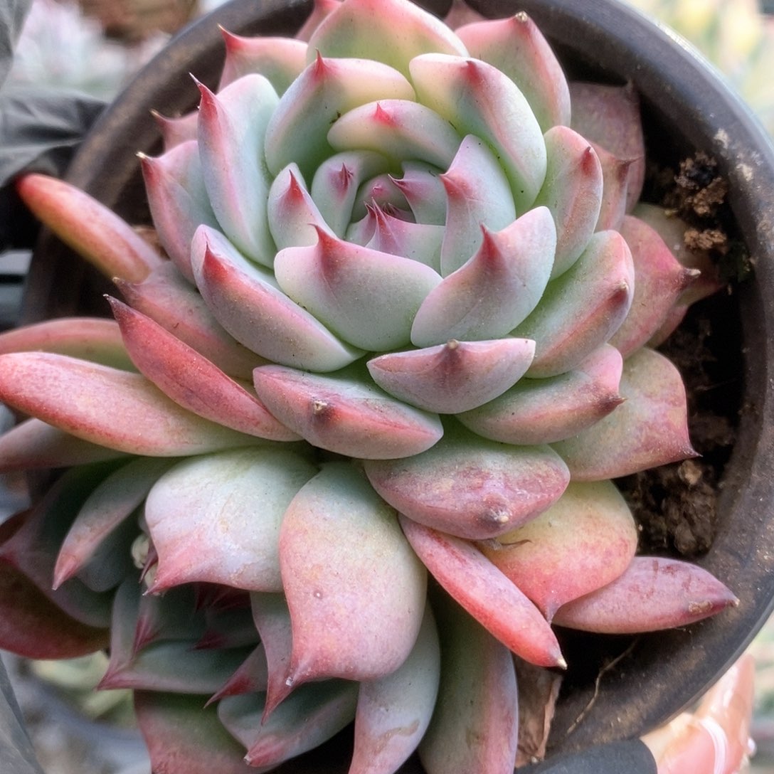 140锦锦锦锦锦锦锦