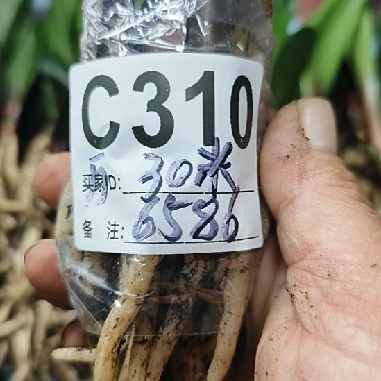 万***意完全开放7777777777