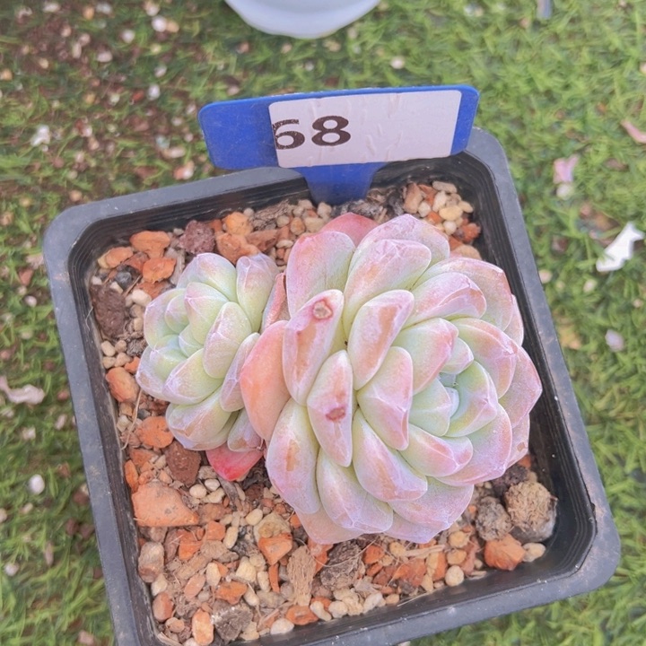 健健康康平平安安