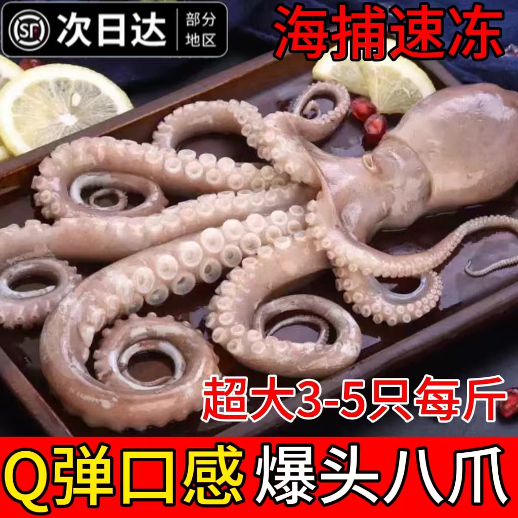 新鲜八爪鱼鲜活冷冻长腿八爪大爆头八爪鱼八抓鱼去吸盘捞汁小海鲜