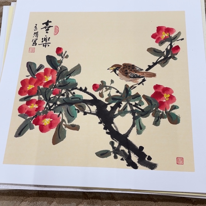 国画花鸟的翅膀和羽毛的50.50