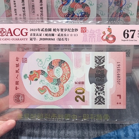 塑料028918561。。。。。。。。。