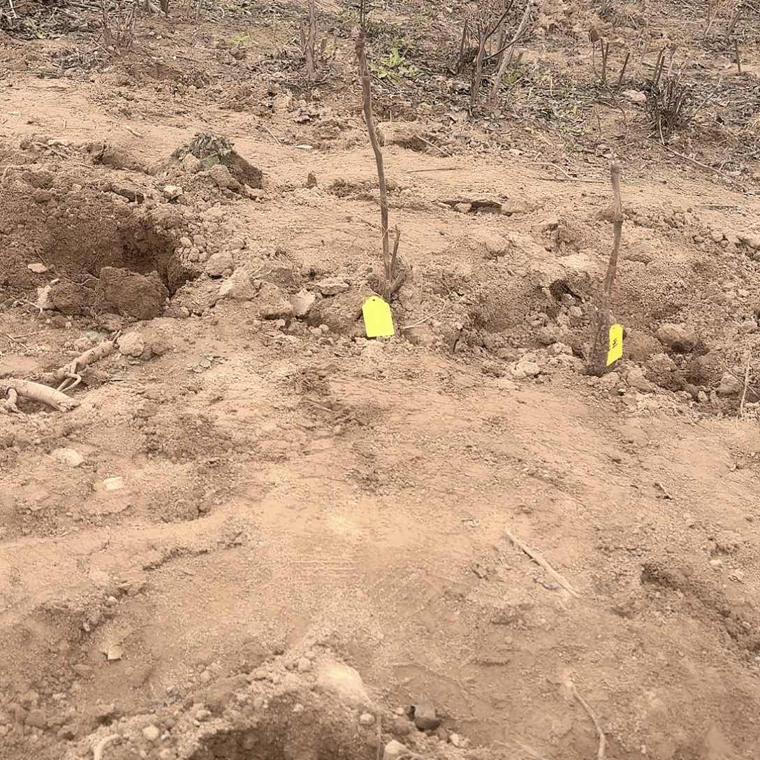 完全开放11111111111