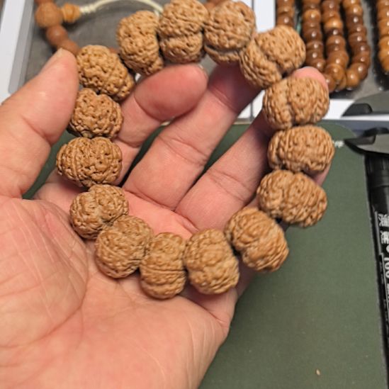 金刚菩提手串五星梅花大金刚手串，22左右，精挑细选，今年新籽