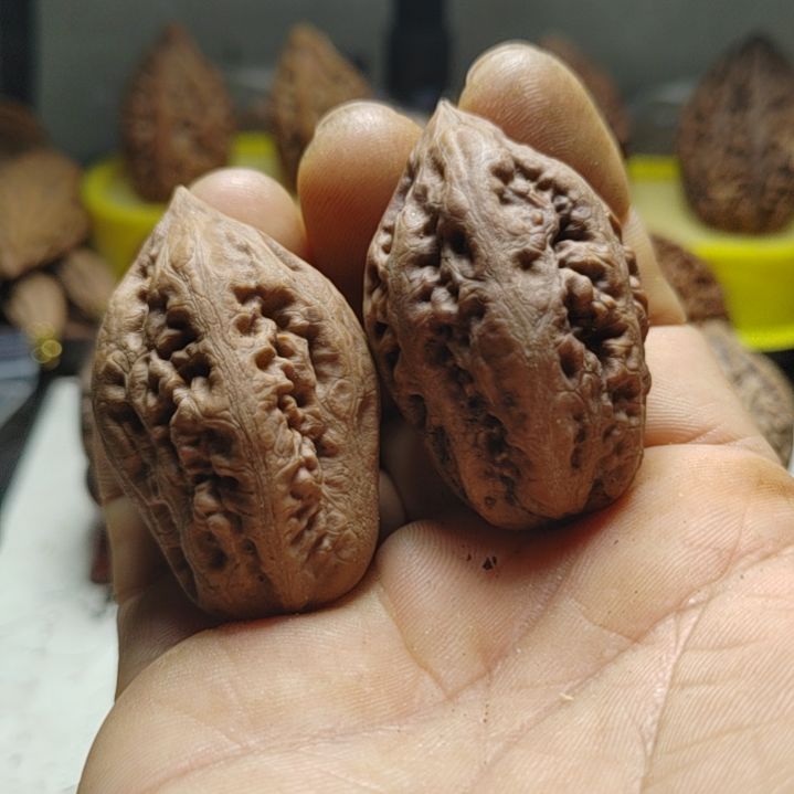 文玩核桃把件巨蛋