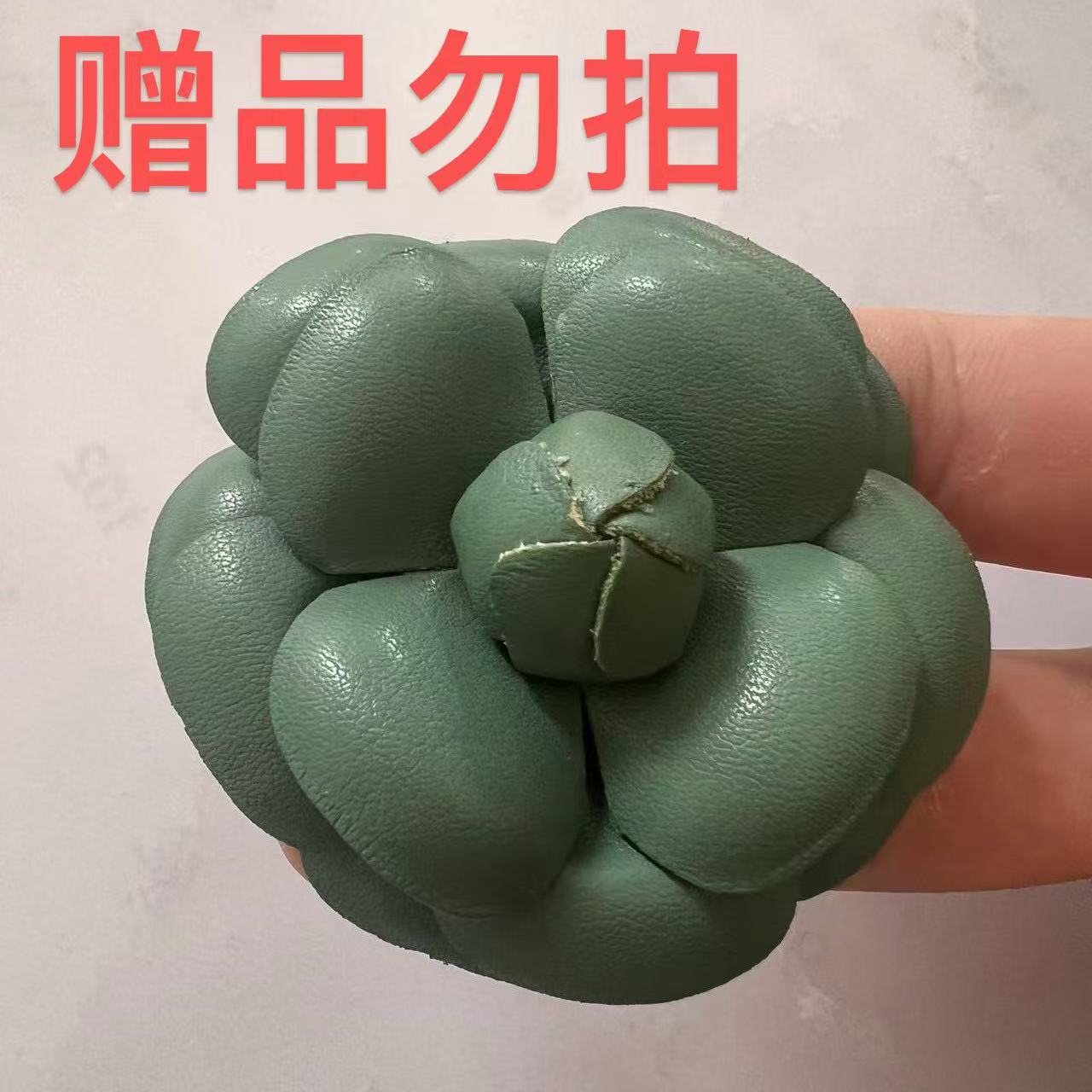 非金属布艺胸针 赠品勿拍剀剀莉（绿色山茶花）高定手工百搭胸花
