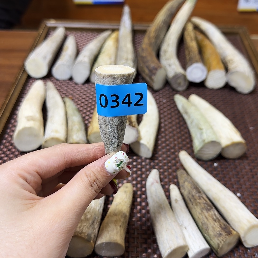 鹿骨手串/手链角尖0342