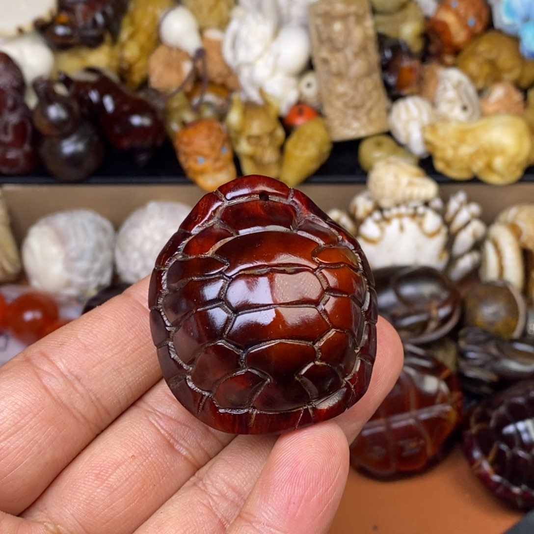 其他驼骨瑕疵的是