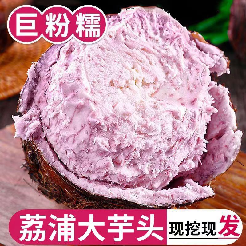 当季广西粉糯香芋头正宗荔浦新鲜大芋头槟榔芋毛芋自种农家芋包邮