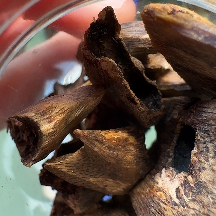 沉香沉香碎屑海南高端紫罗兰树心油老料20克