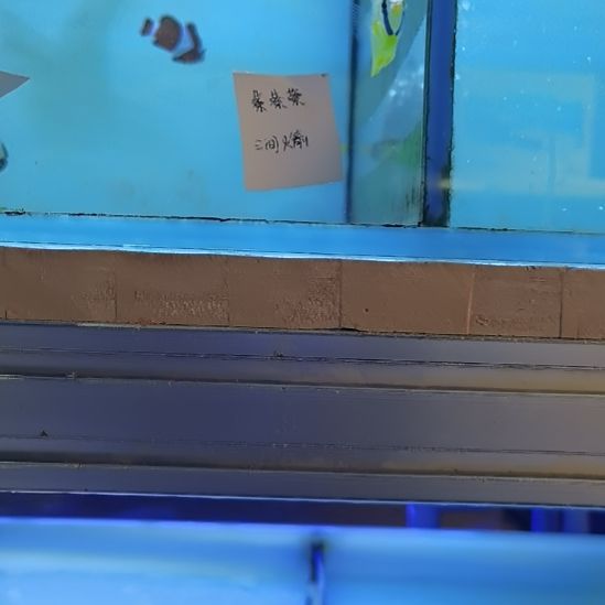 三间火箭一条海水鱼