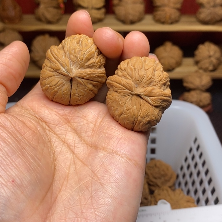 懿***文玩核桃把件文玩