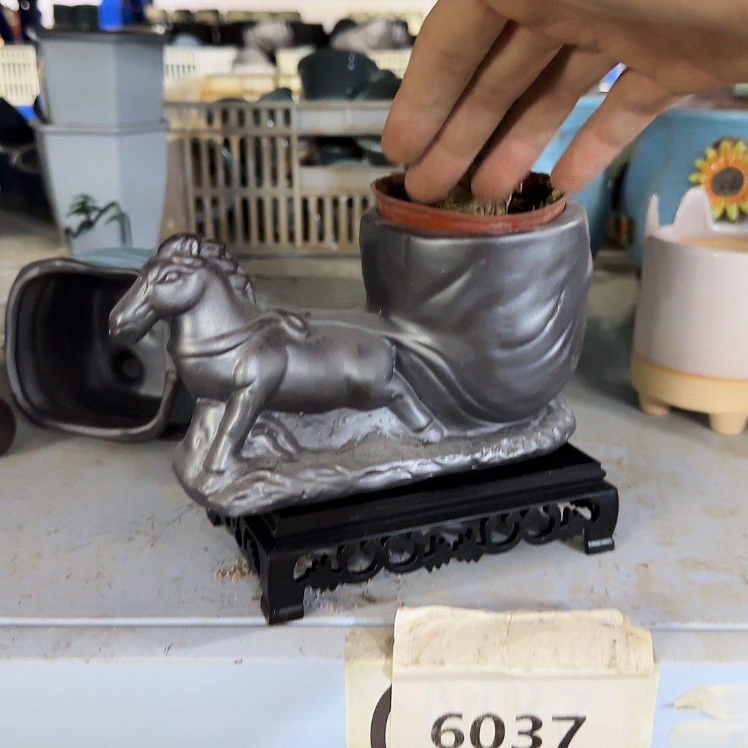 送塑料托盘，凑9元发