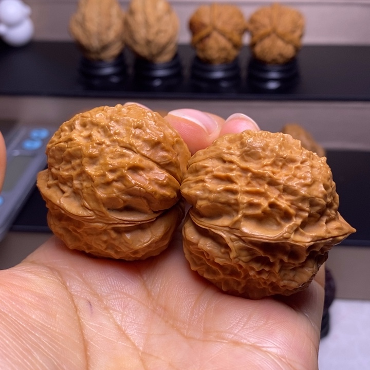 把件文玩核桃刺甲苍龙38