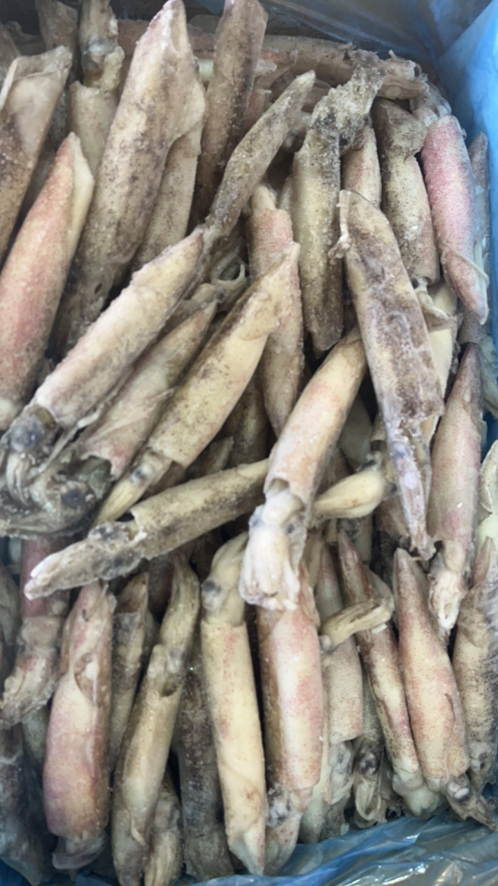 大个带子的大墨斗