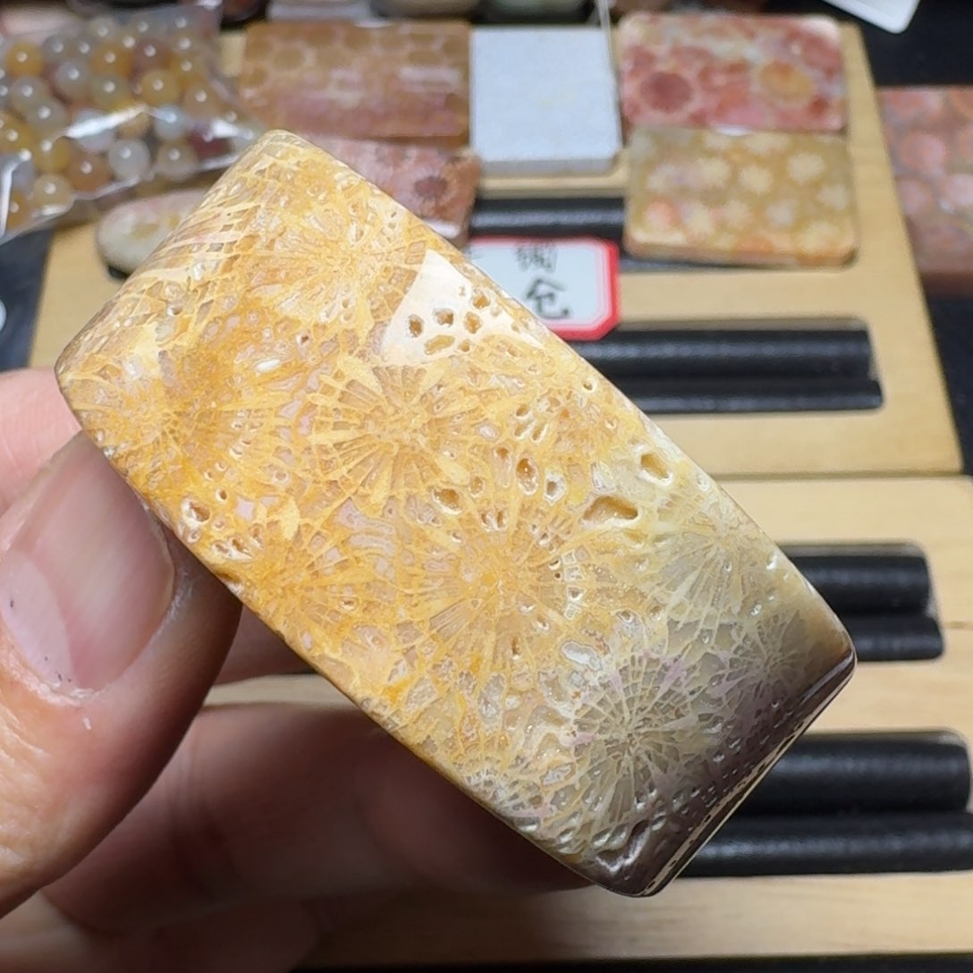 硅化玉纯天然色有机玉石手镯芯未镶嵌