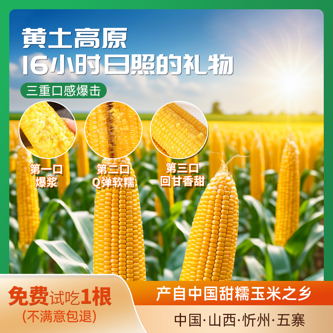 正道良田3:7黄金比例甜糯玉米25年头茬粗粮轻食早餐6+1到手7根装