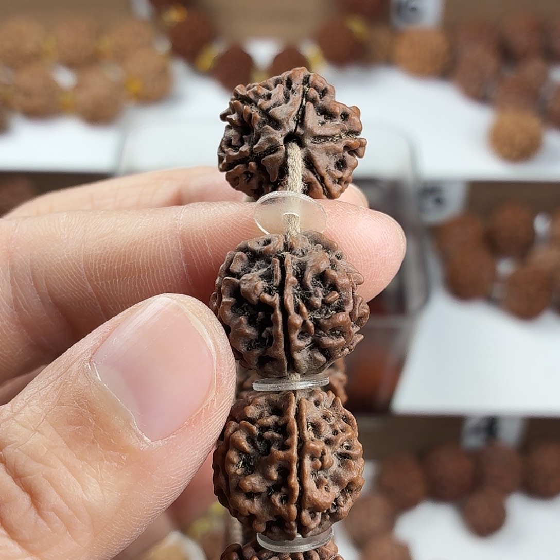 金刚菩提手串原生态精品6瓣铁籽