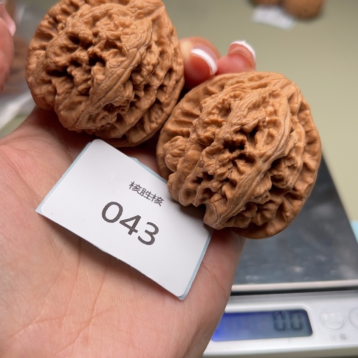 文玩核桃把件粗筋44.043