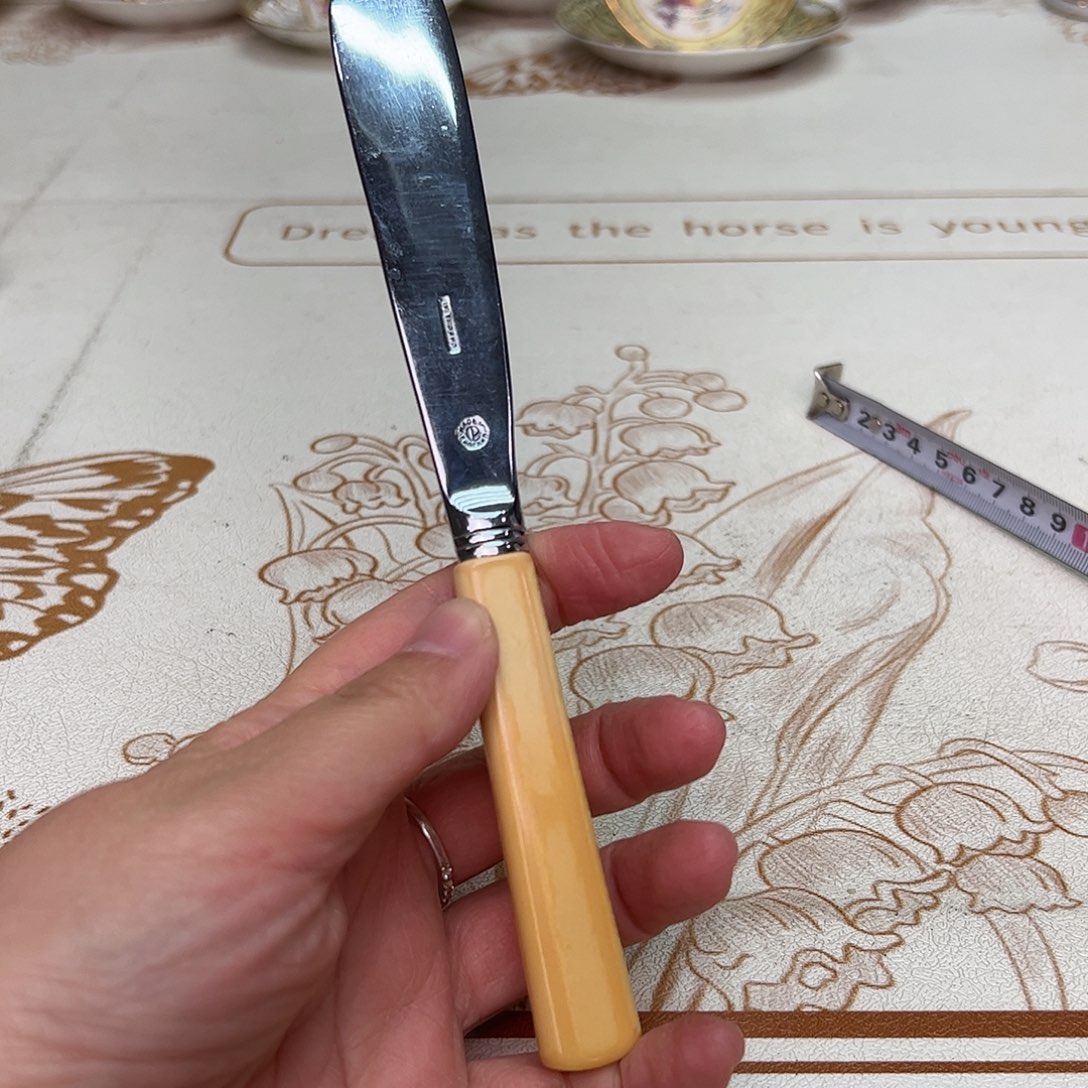 盘维多利亚欧洲中古