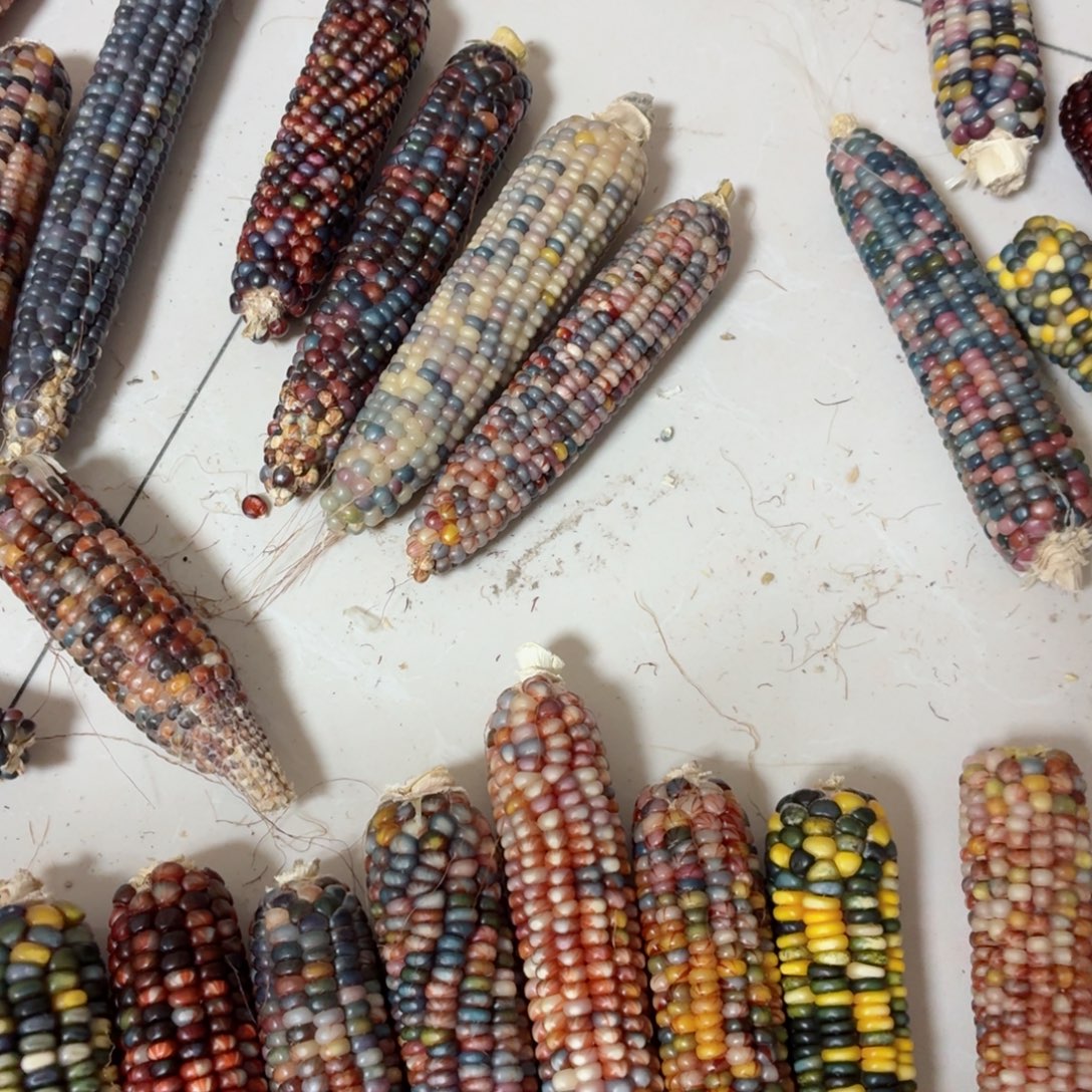 赫***夫吊坠白玉菩提文玩精品文玩精品