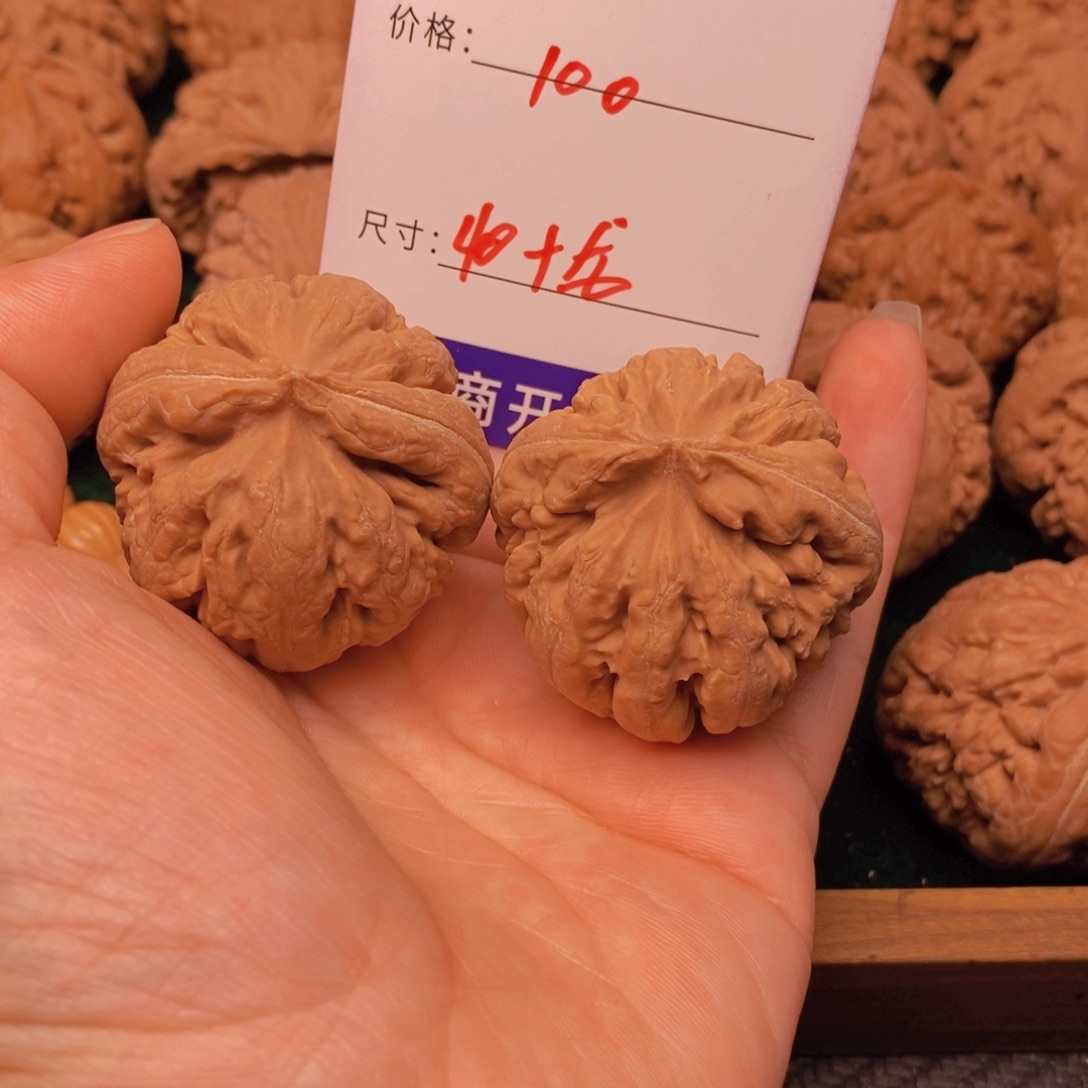 文玩核桃霸王龙核桃