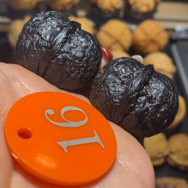 核桃核桃地闷元宝尺寸35