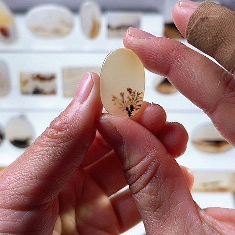 【闪购商品】玛瑙/玉髓珠宝半成品未镶嵌