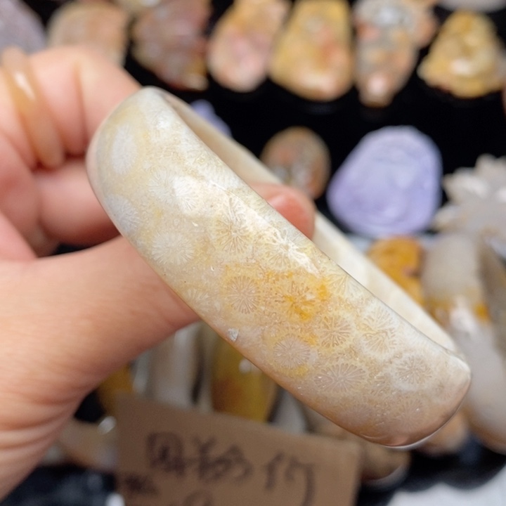 硅化珊瑚（珊瑚玉）手镯未镶嵌54