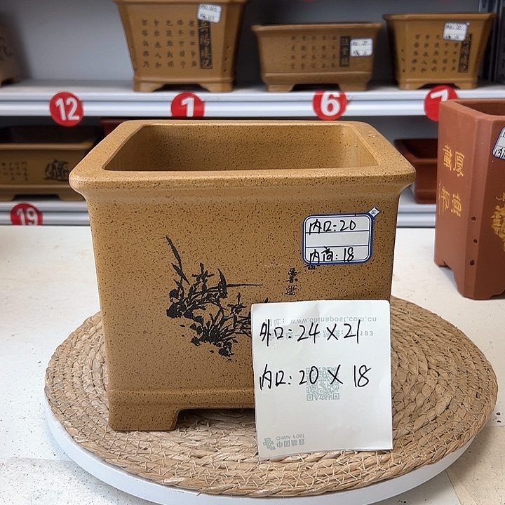 紫砂花盆蛇年大吉