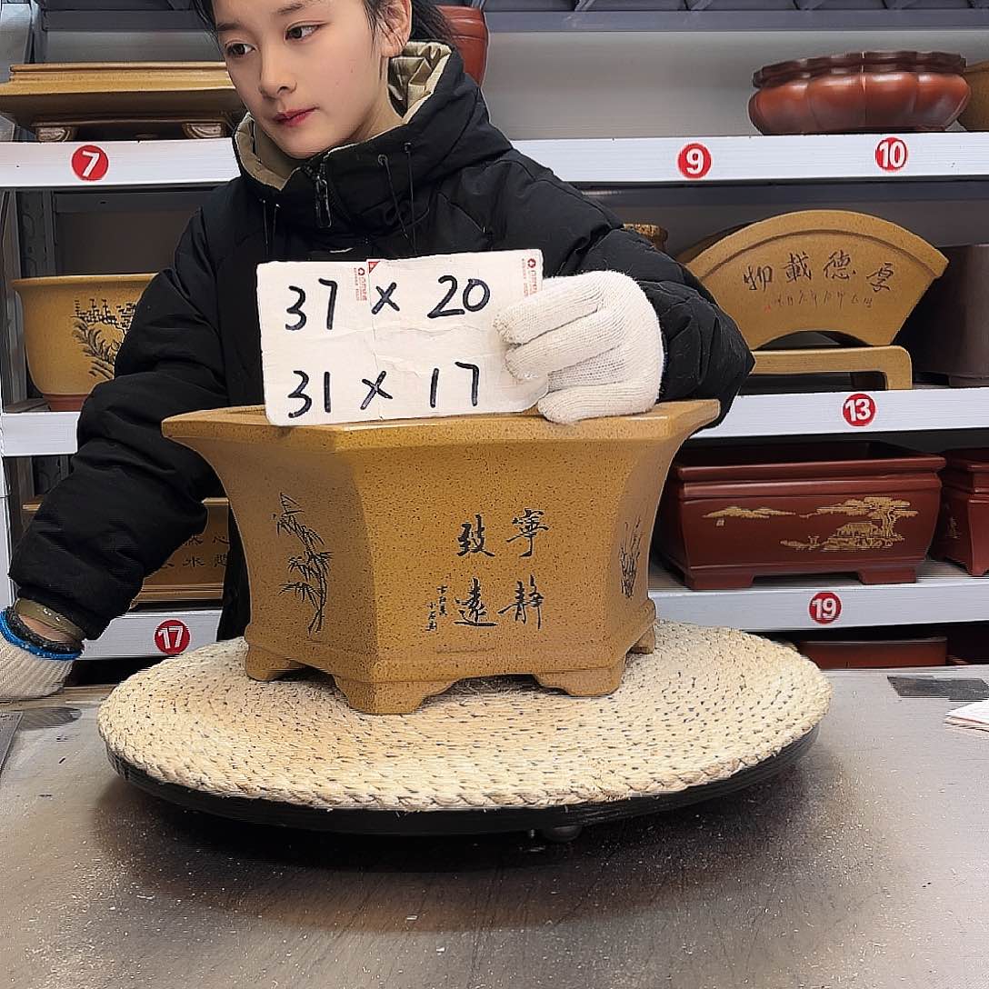 紫砂花盆紫砂花盆