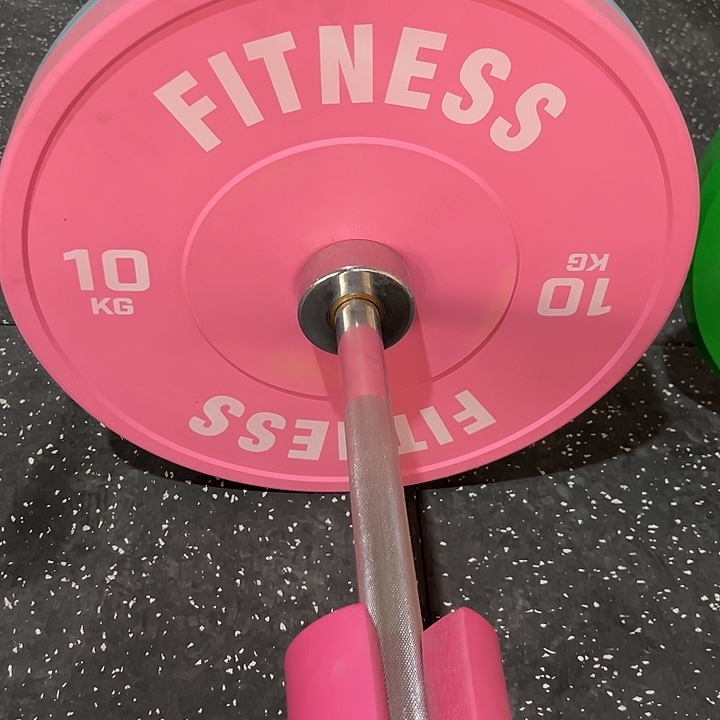 全新马卡龙粉色10公斤杠铃片一对