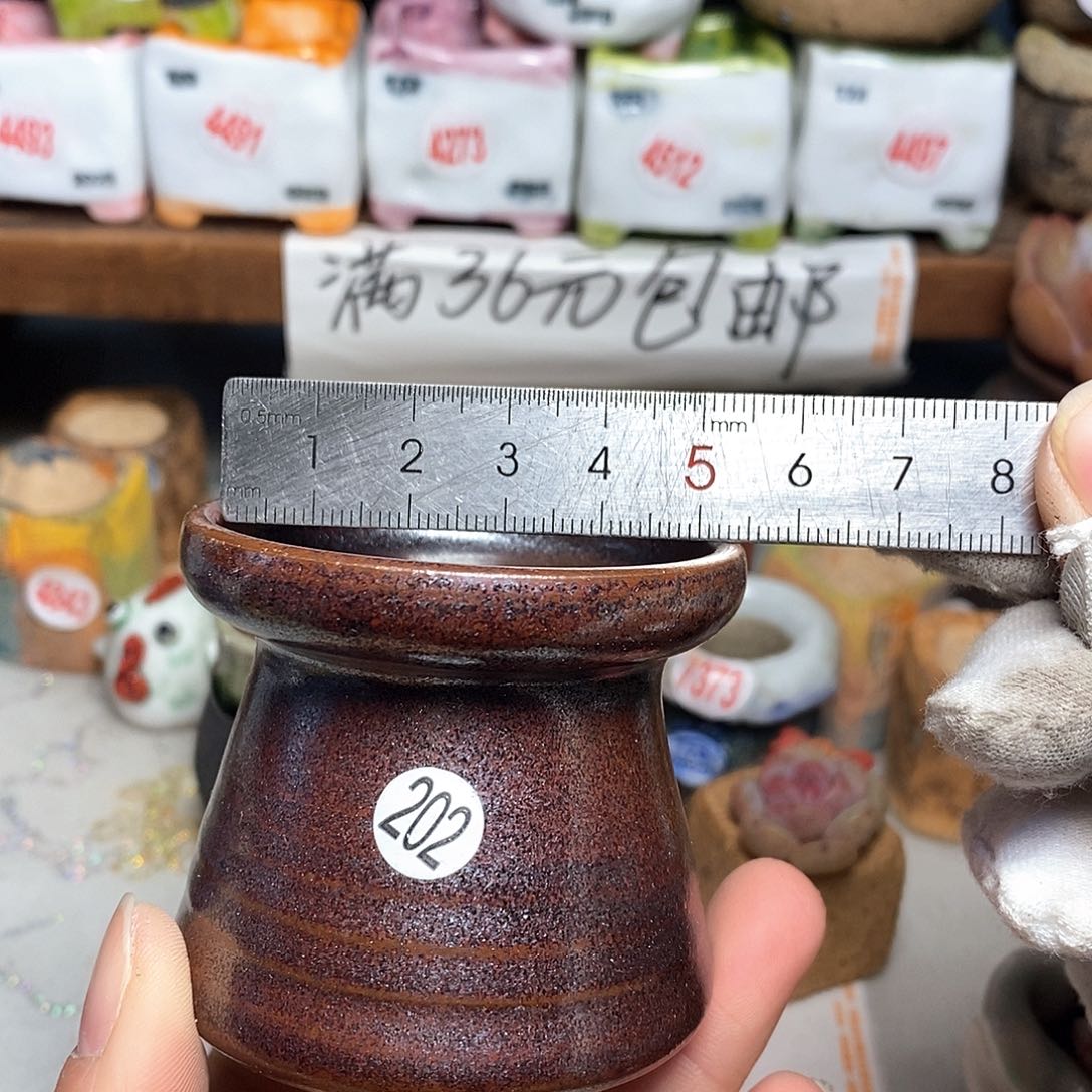 红陶拍5送一个小