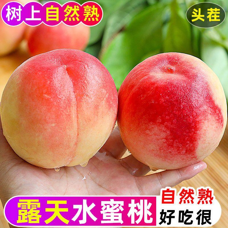 【御品一园】山西运城水蜜桃新鲜应季水果脆桃子整箱包邮毛桃批发