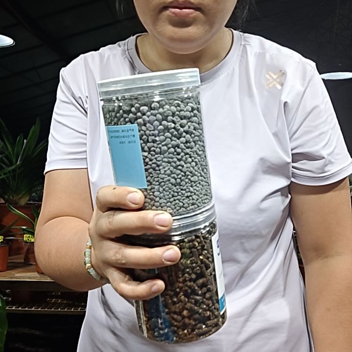 M***蒋无花朵1固1矿     22君子兰