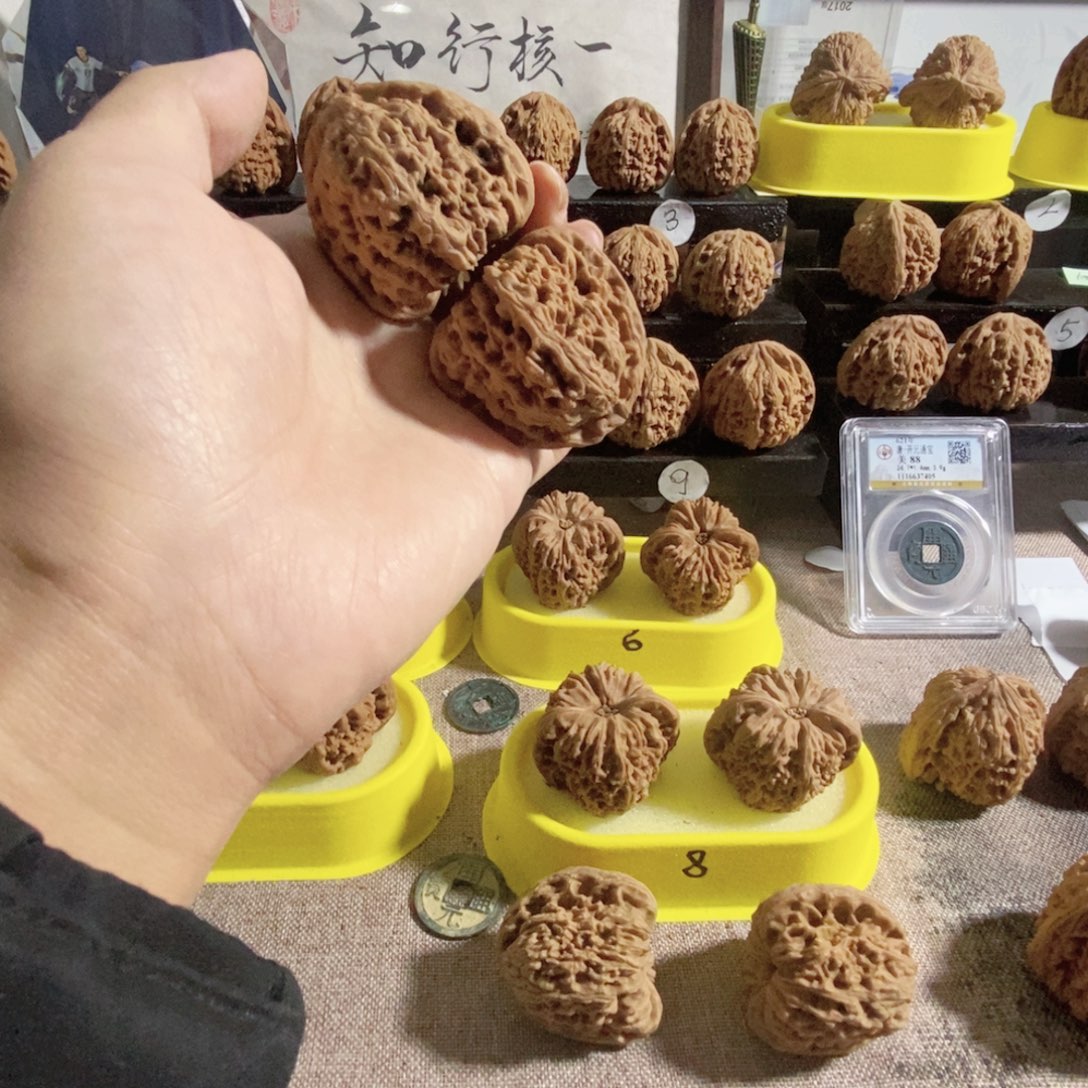 生***活木质类一代丑三角