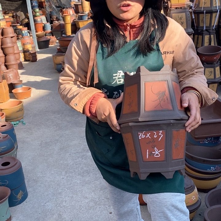 紫砂花盆盆栽花卉苗木种植