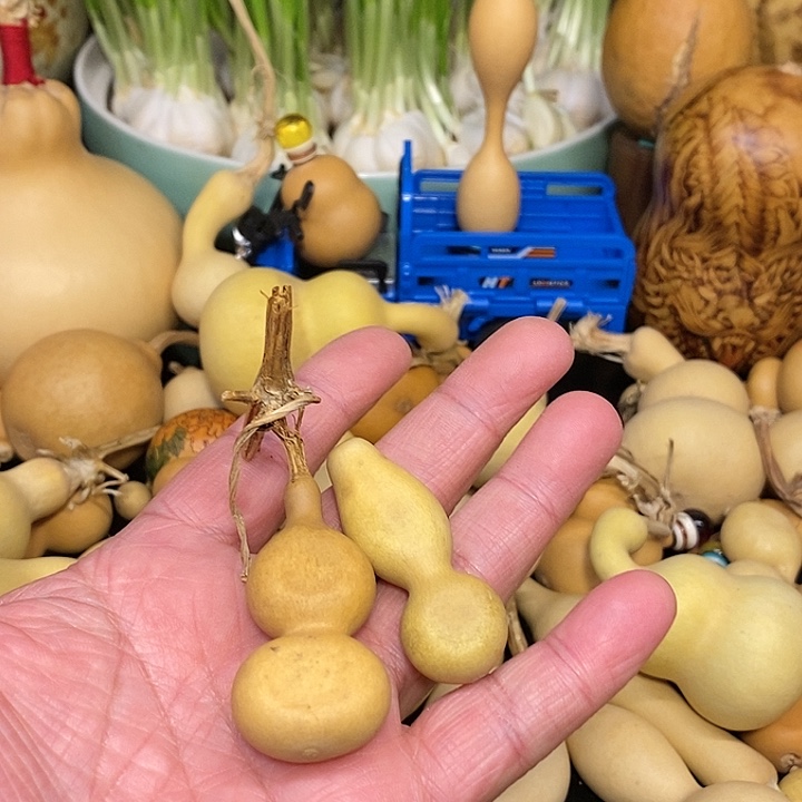 元**枝精品葫芦手把葫芦104