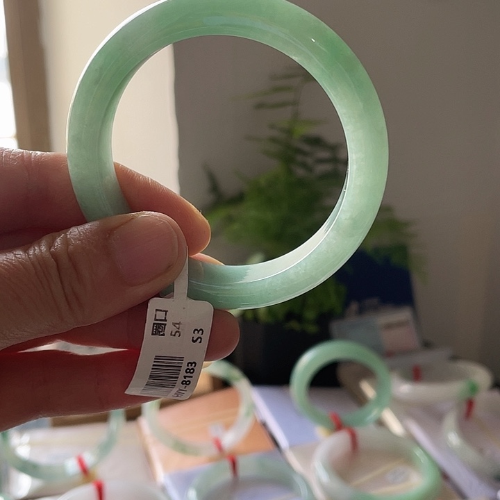 未镶嵌手镯翡翠成品