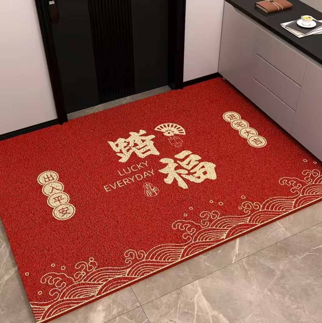 免洗丝圈地垫入户门地垫玄关2025年进门刮土垫子