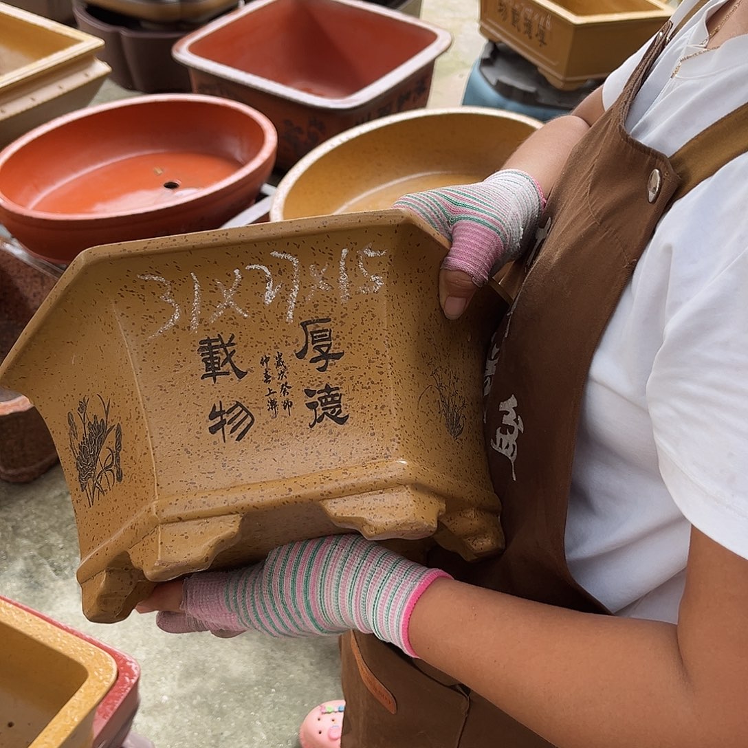 紫砂花盆盆景艺术