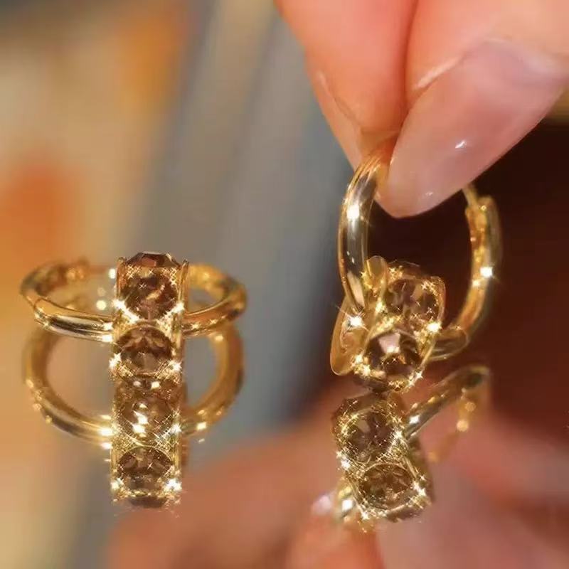 铜合金耳饰  轻奢时尚百搭个性精致小众耳饰LY0531