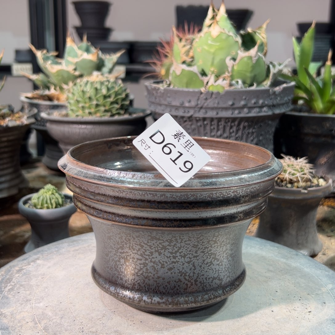 景德镇手工素里内口14.5高11