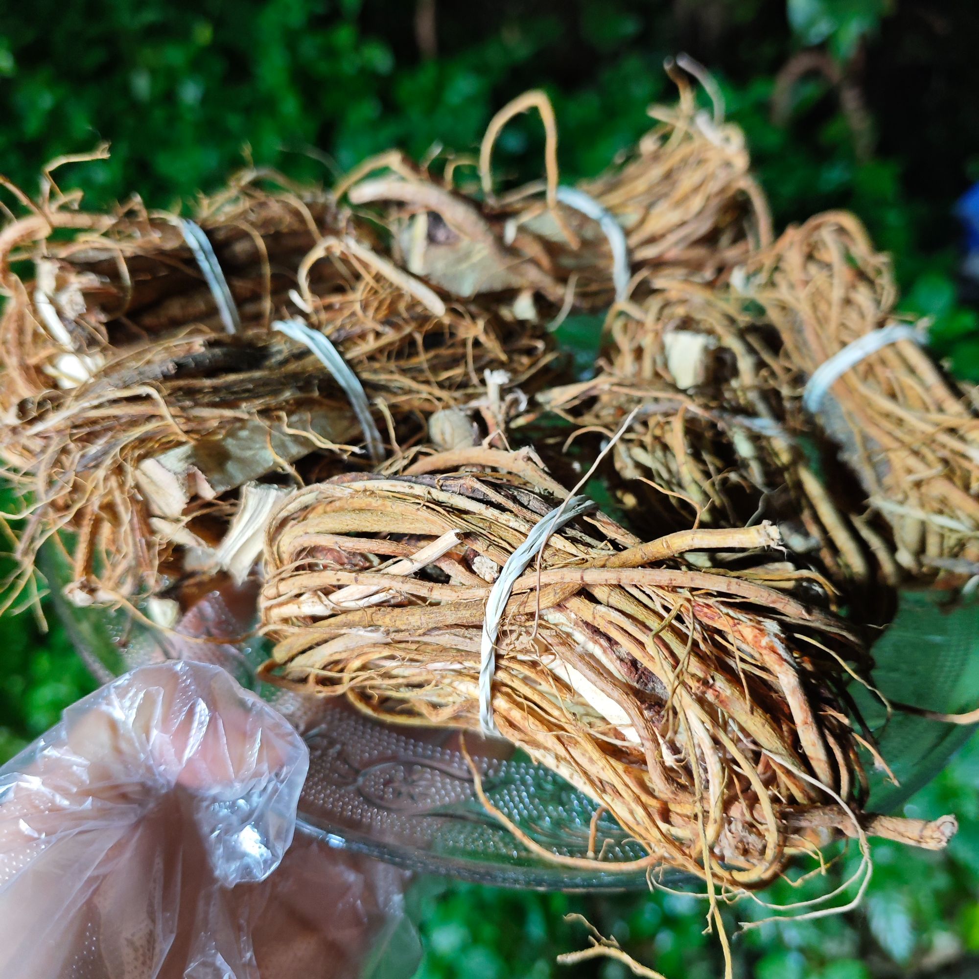 1【五-指-毛-桃】净含量250g【阿虎现收】粮