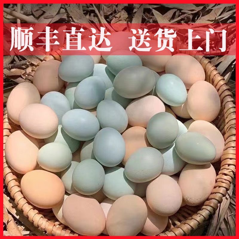 顺丰包邮孙加强自己散养的土鸡蛋笨鸡蛋50枚农家新鲜纯农村草鸡蛋