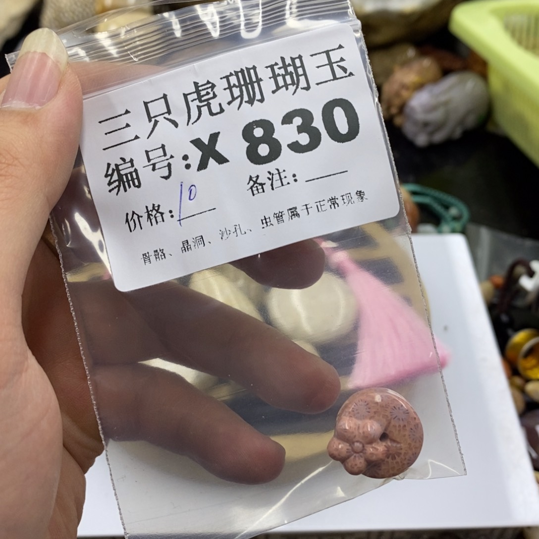 硅化珊瑚（珊瑚玉）X未镶嵌?****！