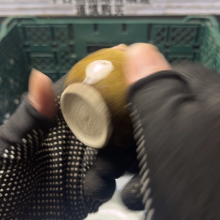 水滴瓷器水滴瓷器
