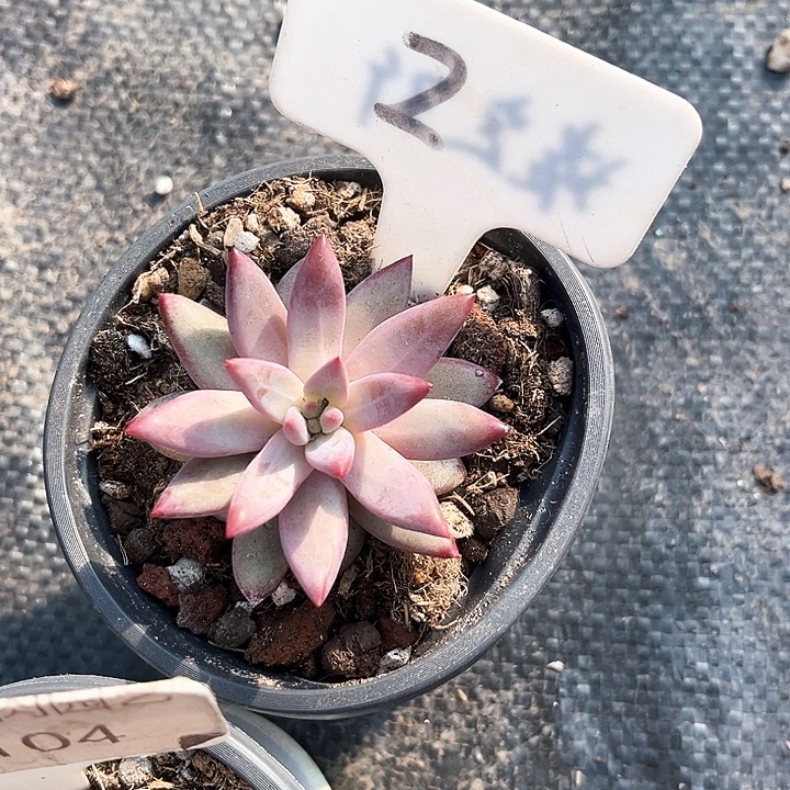 于**渔我是你的小可爱啊我的大可爱我是