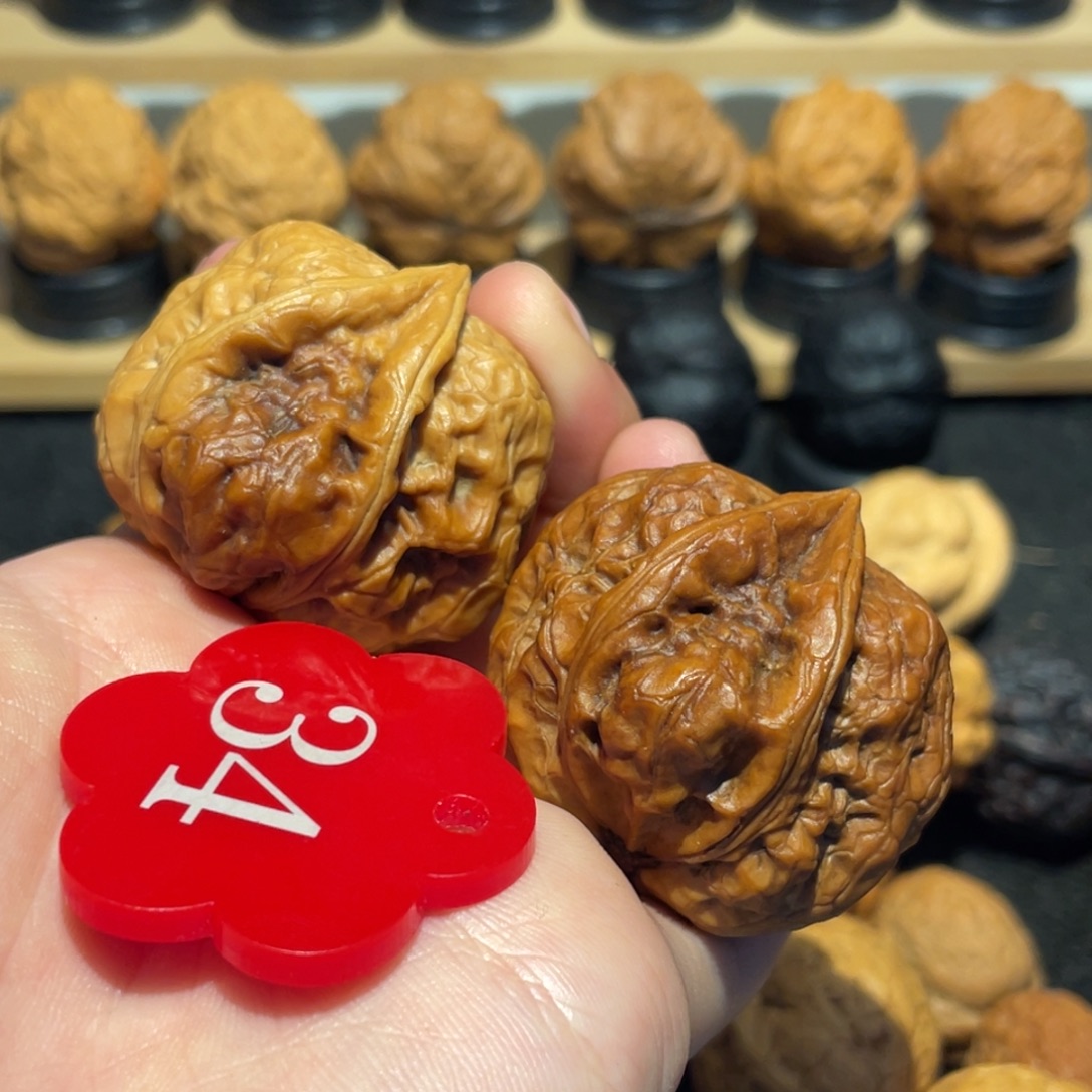 特色生命之源核桃带彩38