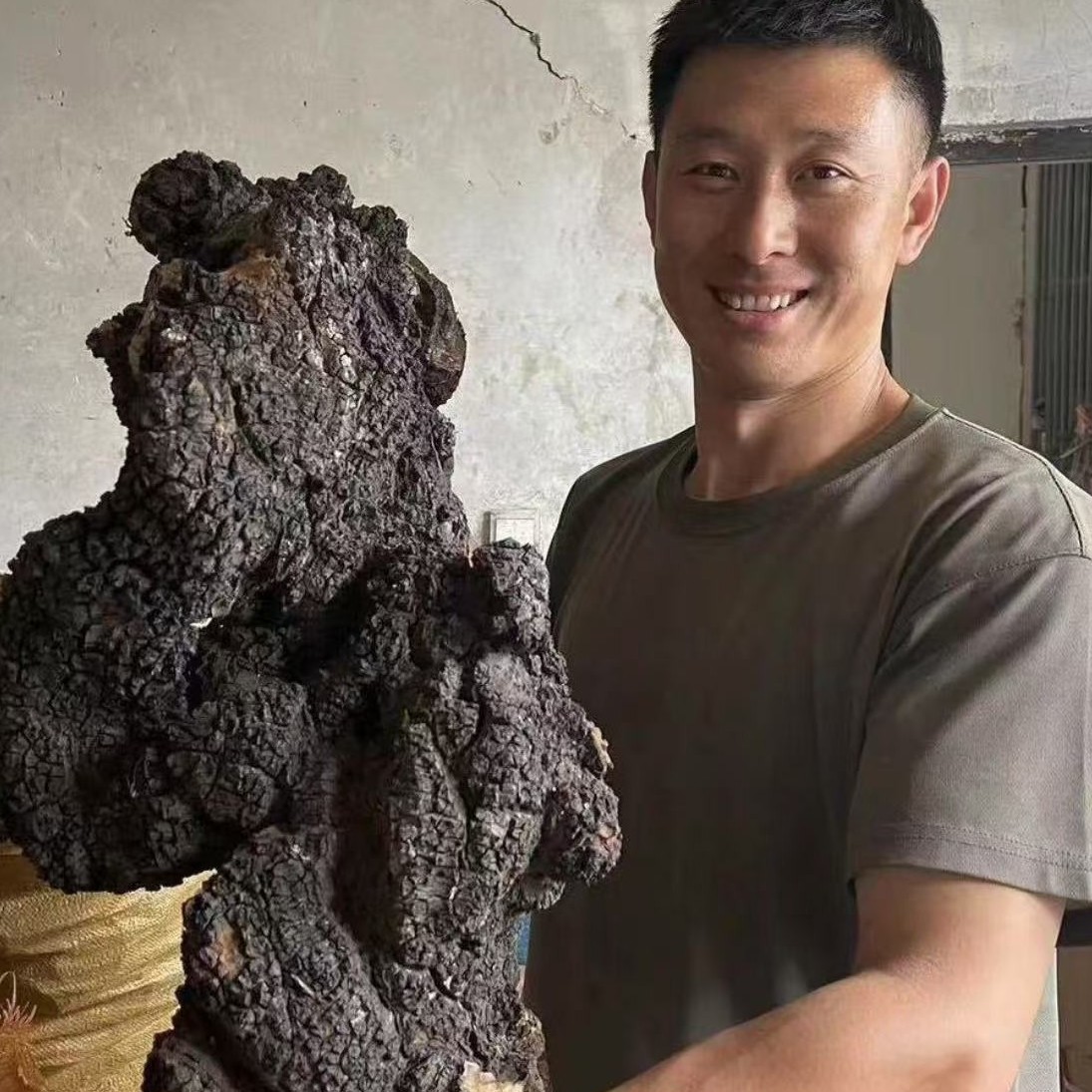 长白山深山桦树茸